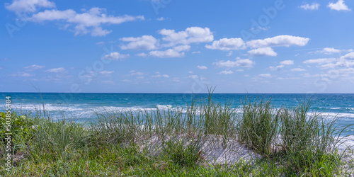 View of the dunes overgrown with grass and the Atlantic Ocean in Florida