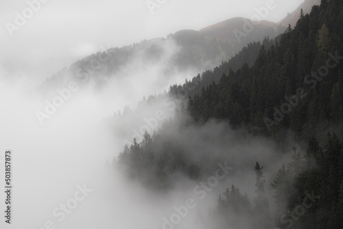 Low clouds in the forest at fall with yellow larches