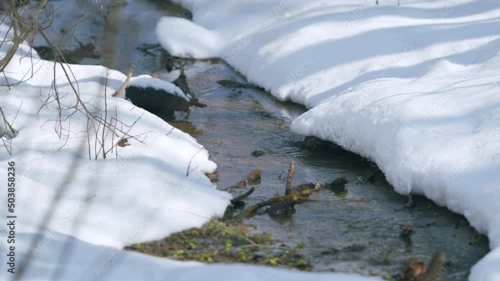 After winter, spring came and rivers in melting deep snows. After winter, spring came and rivers in melting deep snows.