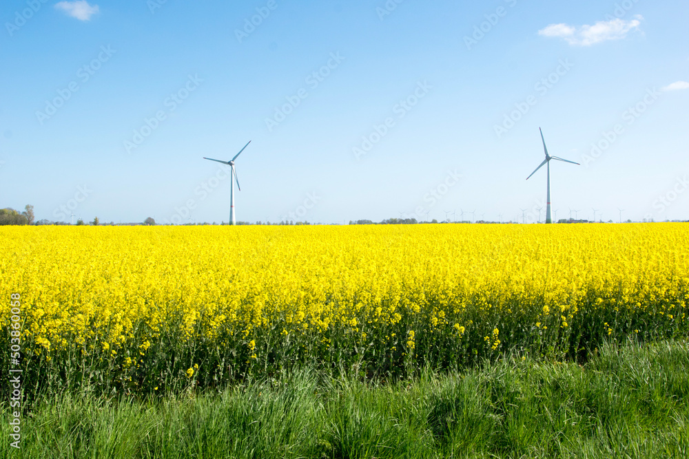 wind turbines in the field wind turbines in the field