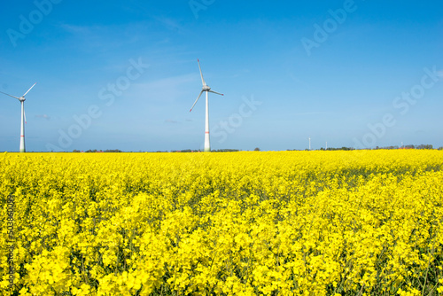 field with wind turbines © Bertigrafie