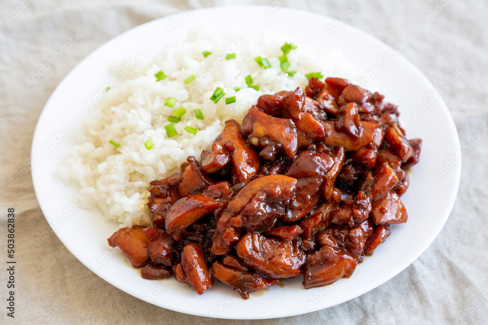 Homemade Teriyaki Chicken with White Rice on A Plate, side view. Homemade Teriyaki Chicken with White Rice on A Plate, side view.