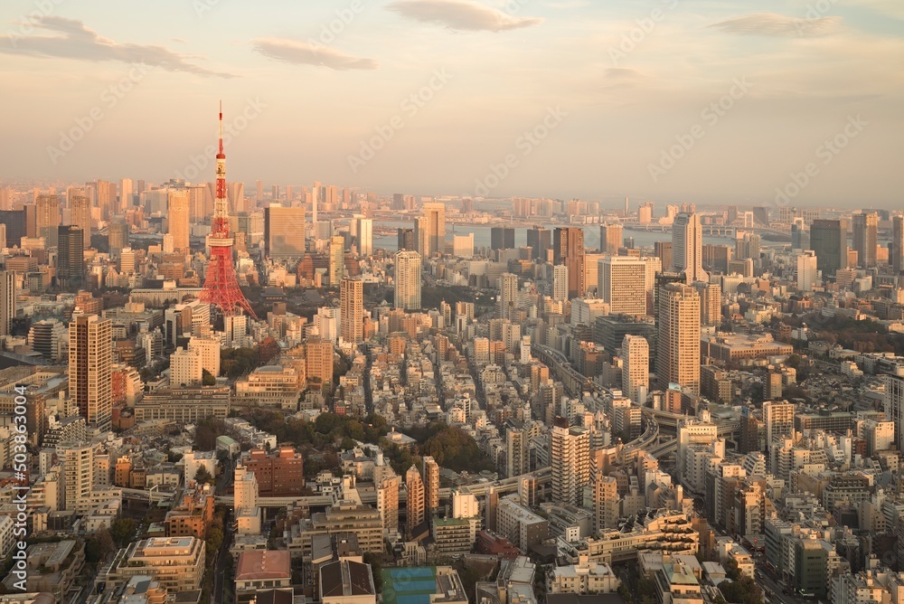 The city of Tokyo during the sunset 