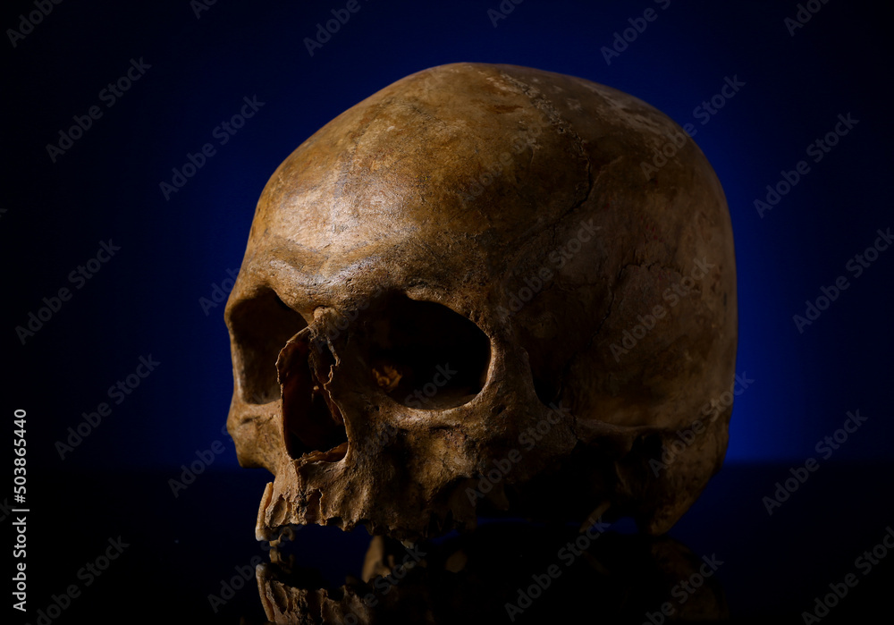 Ancient human skull on black background Ancient human skull on black background