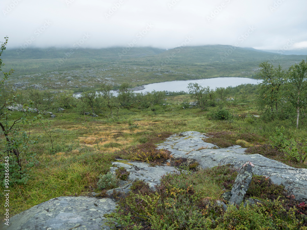 Northern landscape in Swedish Lapland with granite rock, birch bush, green hills and Tarra river at Padjelantaleden hiking trail. Moody, rainy day, cloudy sky, summer.