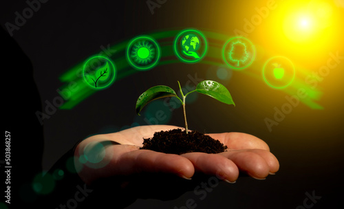 Man holding green tree growing in soil in his hand, environmental protection concept, Earth Day