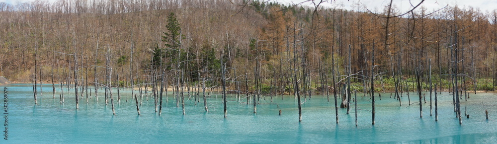 Panorama photo of Shirokane Aoi ike (Blue pond) Panorama photo of Shirokane Aoi ike (Blue pond)