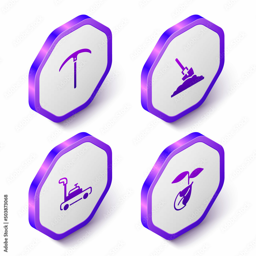 Set Isometric Pickaxe, Shovel in the ground, Lawn mower and Sprout icon. Purple hexagon button. Vector Set Isometric Pickaxe, Shovel in the ground, Lawn mower and Sprout icon. Purple hexagon button. Vector