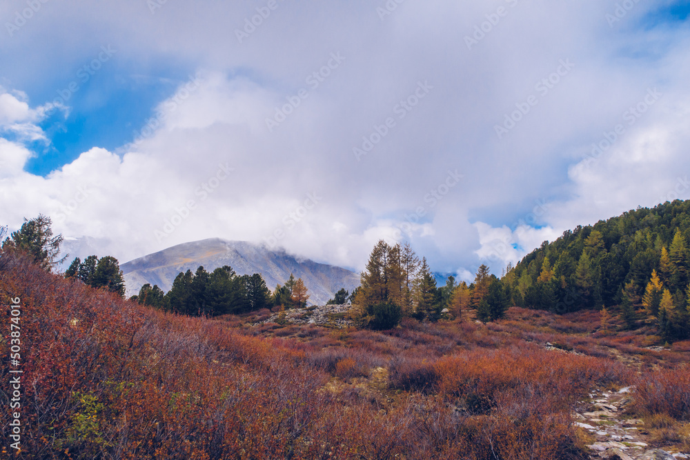 Picturesque marvelous view in the mountains. Amazing mountain range valley scenic landscape among clouds and colordul forest hills. Autumn season in the mountains stock photography
