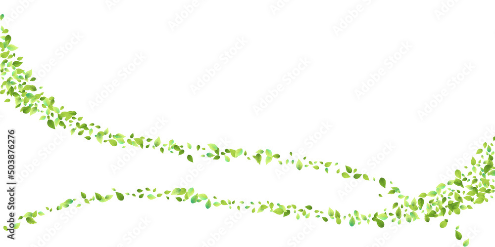 Leaves Green Falling Flying Foliage Leaf Tea Mint Leaves Green Falling Flying Foliage Leaf Tea Mint