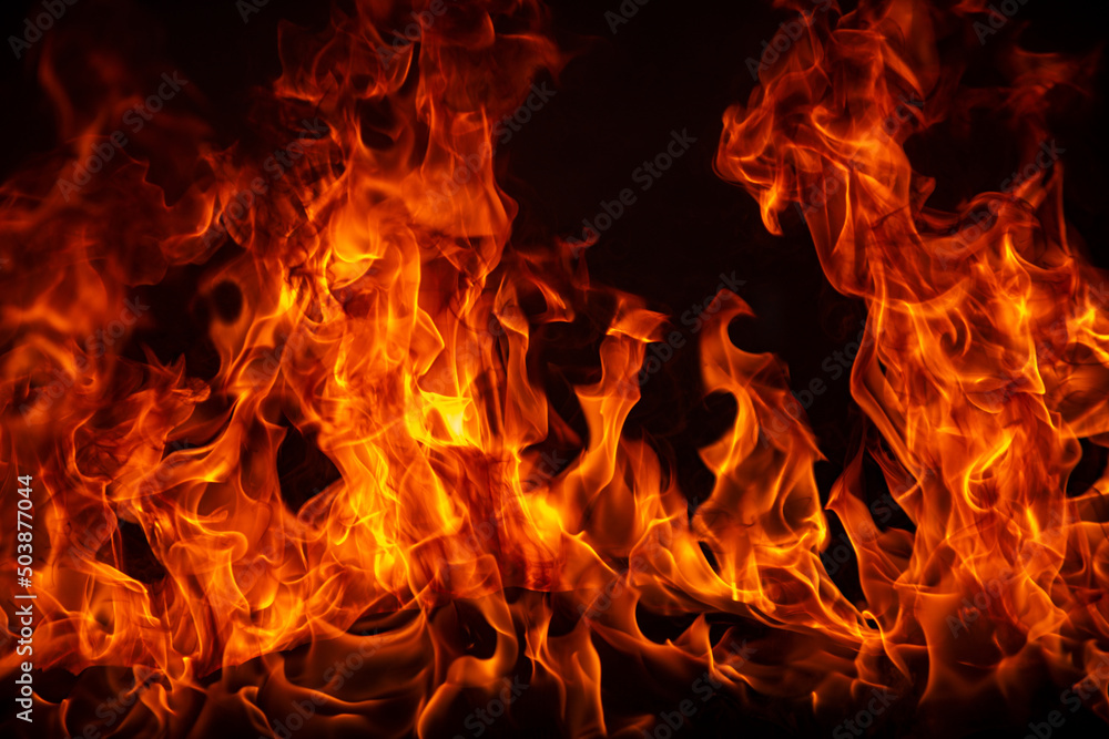The fire, burning flame. Large burning flaming fire. The fire, burning flame. Large burning flaming fire.