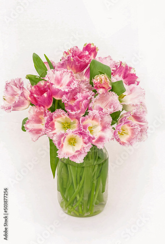 Fototapeta Naklejka Na Ścianę i Meble -  a beautiful bouquet of soft pink terry tulips on a white background
