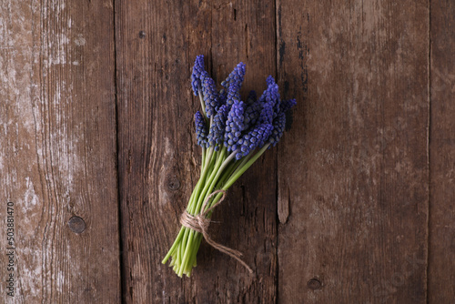 Bouquet of small blue Muscari flowers