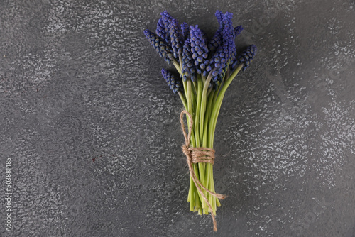 Bouquet of small blue Muscari flowers