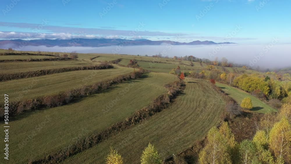 Countryside autumn misty landscape, meadow pasture. Aerial drone view Countryside autumn misty landscape, meadow pasture. Aerial drone view