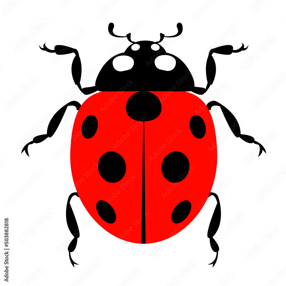 Ladybug insect beetle animal icon design element graphic image Ladybug insect beetle animal icon design element graphic image
