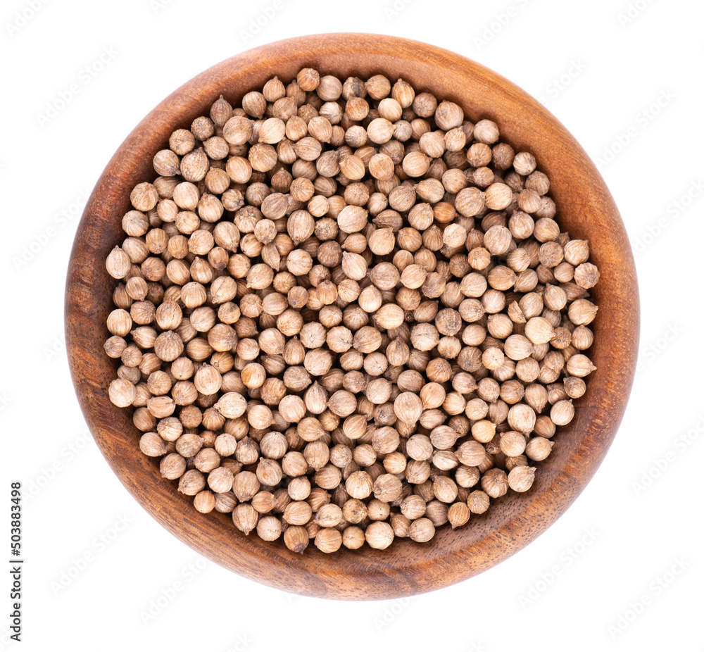 Coriander seeds in wooden bowl, isolated on white background. Cilantro grain. Organic spice. Top view.