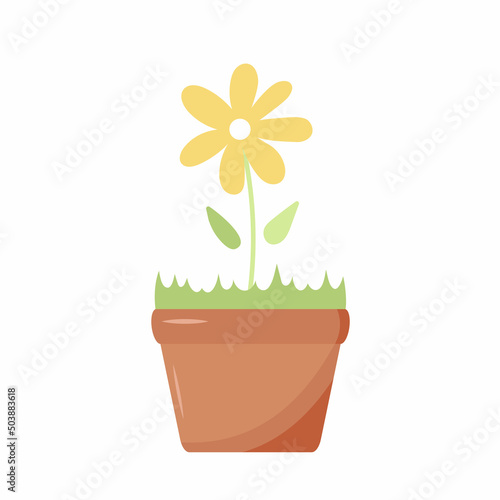 Chamomile in a pot. Home flower in a pot. Colorful vector illustration. Design element for mobile applications  flower shop advertising  coloring pages  greeting cards  book illustrations  banner