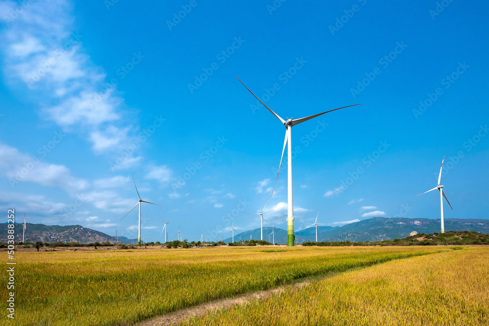 Wind turbines farm in a big green field under the blue sky generating electricity. Clean alternative energy concept to reduce global warming and climate change for sustainable development.
Wind turbines farm in a big green field under the blue sky generating electricity. Clean alternative energy concept to reduce global warming and climate change for sustainable development.