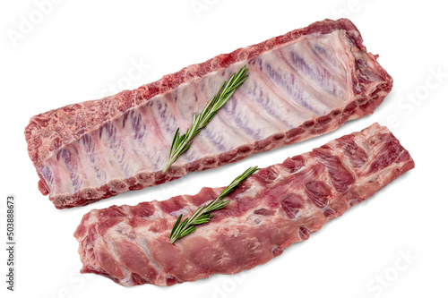 Raw Pork ribs with rosemary isolated on white. Raw pork ribs. Raw meat, Whole raw pork ribs. lamb meat spare ribs or belly. Fresh meat and ingredients. Butchery, market.