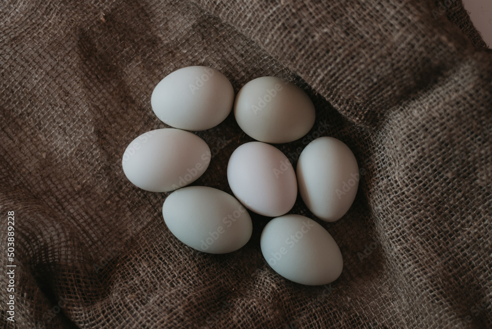 white chicken eggs. a natural product. eggs on a dark background
white chicken eggs. a natural product. eggs on a dark background
