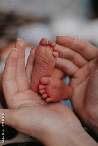 the child's legs. the mother holds the baby's legs. the child's feet in the palms