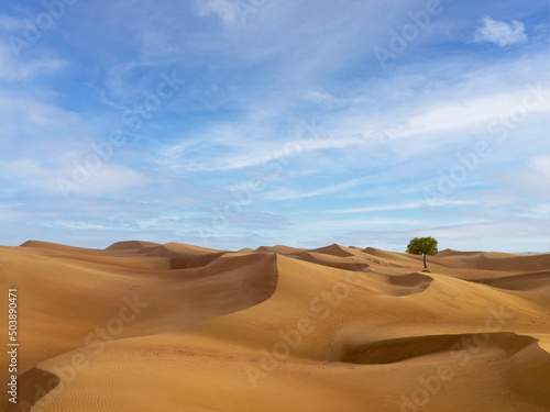 sand dunes in the desert with clouds