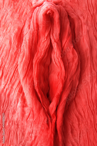 Artvagina. Textile abstract background. Soft folds of pink fabric in the shape of vagina. Closeup. Selective focus. Vertical orientation.