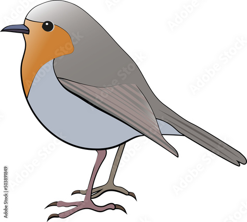 European robin or robin redbreast (Erithacus rubecula), with the swedish name Rödhake.