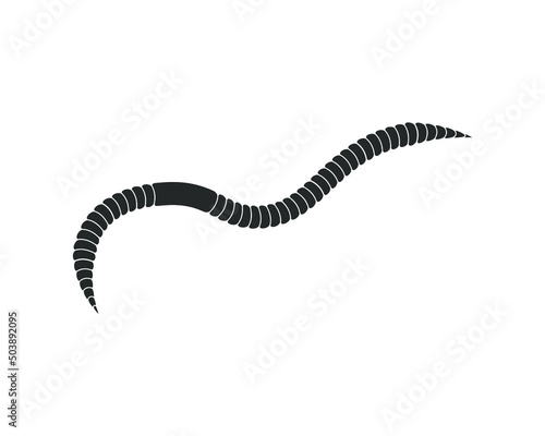 Worm icon. Earthworm symbol. Vector illustration image.