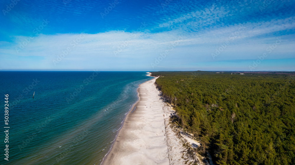 Beautiful landscape of the sandy beach. Blue sky and green forest. Aerial view of the clear sea water in a sunny day.