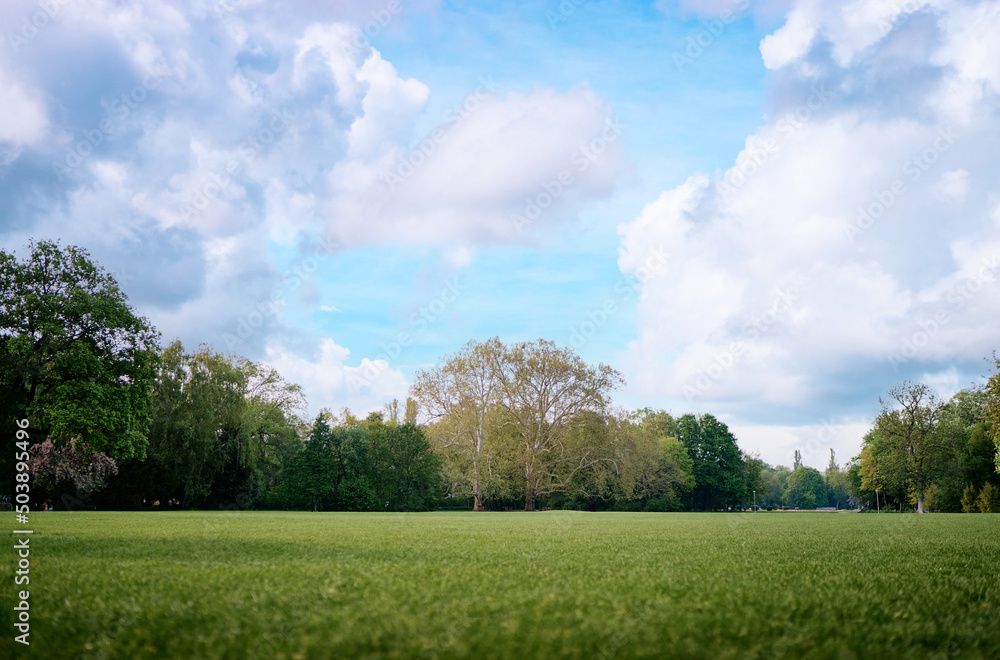 Landscape with green trees and grass field.