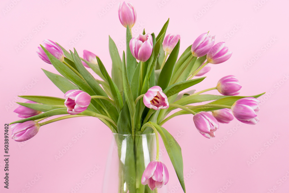 Fototapeta premium bouquet of tulips on pink background
