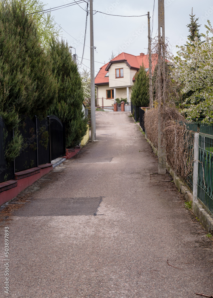 Street private sector in the spring. Street with small beautiful houses and landscaping, landscaping in Europe Street private sector in the spring. Street with small beautiful houses and landscaping, landscaping in Europe