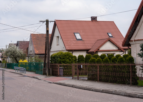 Fototapeta Naklejka Na Ścianę i Meble -  Street private sector in the spring. Street with small beautiful houses and landscaping, landscaping in Europe