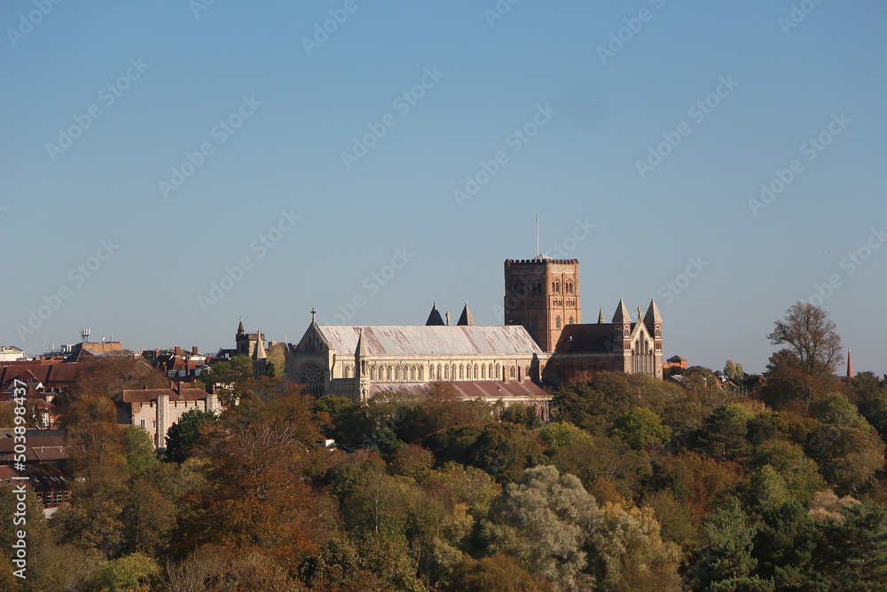 Strolling around a park in St Albans, Hertfordshire UK, seeing all the petrified trees and views to the majestic medieval cathedral. Strolling around a park in St Albans, Hertfordshire UK, seeing all the petrified trees and views to the majestic medieval cathedral.