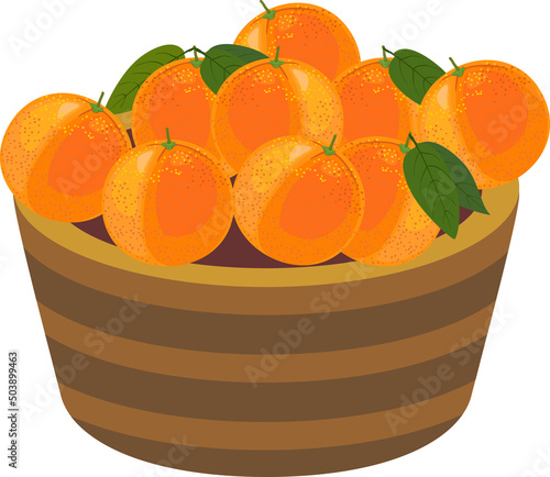 Ripe oranges in basket isolated on white background