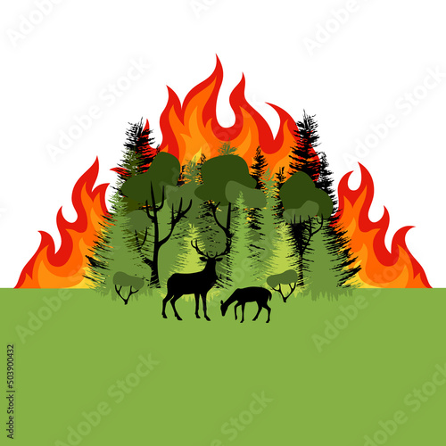 Forest fire. Colorful burning mixed forest and sihouette of deer. Green deciduous and coniferous trees on whit background. Flat design.Forest fire. Colorful burning mixed forest and sihouette of deer.