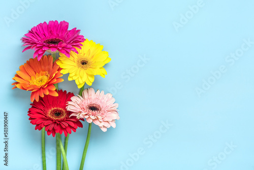 Bouquet of gerberas on blue background Top view Flat lay Holiday greeting card Happy moter s day  8 March  Valentine s day  Easter concept Copy space Mock up
