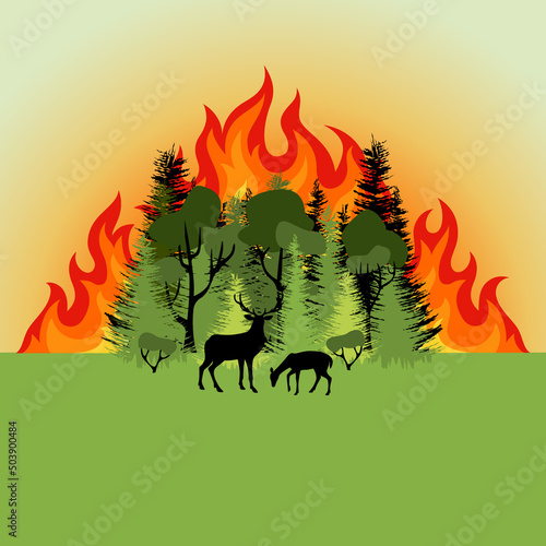 Forest fire. Colorful burning mixed forest and sihouette of deer. Green deciduous and coniferous trees on fire background. Flat design