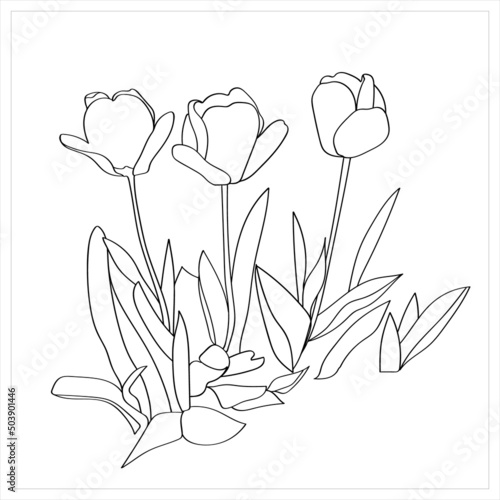 Pattern of tulips.Vector.Graphic image on a white and color background.
