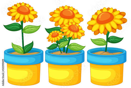 Yellow flowers in a pot in cartoon style