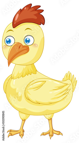 Yellow chicken in cartoon design