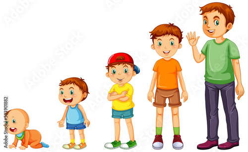 Stages of human growth