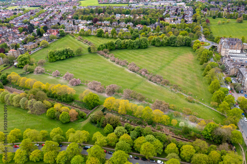 Aerial drone view of beautiful blossom trees in the spring time in the town of Harrogate, North Yorkshire UK showing the trees and freshly cut grass.