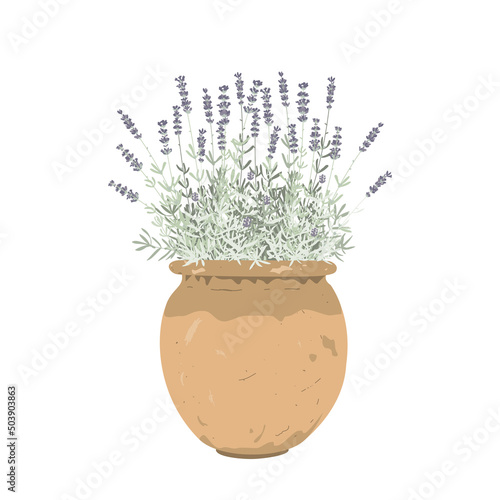 Lavender grass in an old stylish pot, isolated vector Illustration. Home garden and decor design element. Healing and cosmetics potted herb. Garden Medical plant. Icon for natural and organic products