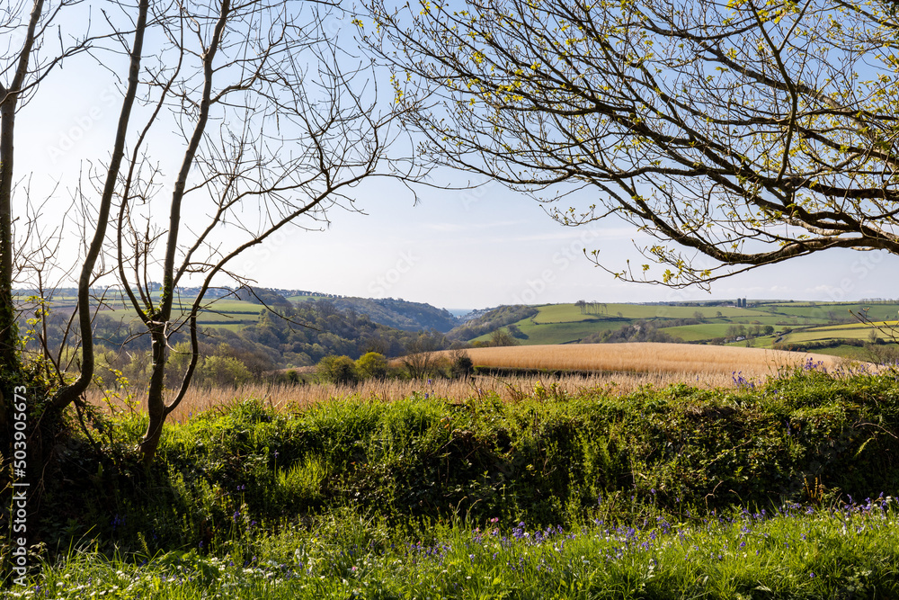 View of Looe from inland at treworgey Cornwall View of Looe from inland at treworgey Cornwall