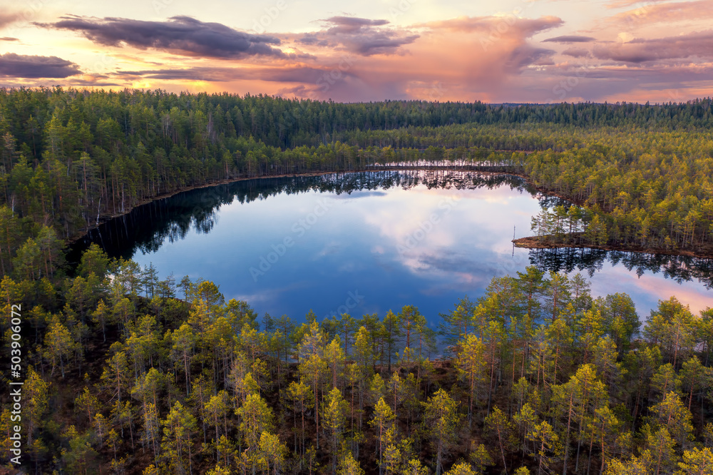 Fototapeta premium Aerial view of blue lake and forest on the sunset. Landscape with drone. Blue lakes, islands and green forests from above. Lake landscape in Karelia. 
