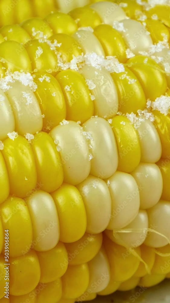 Sweet hot corn sprinkled with salt and melting butter. Grains of salt fall on hot corn. Sweet hot corn sprinkled with salt and melting butter. Grains of salt fall on hot corn.