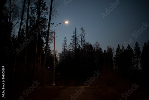 Street lighting. Lamp on pole. Light in park. © Олег Копьёв